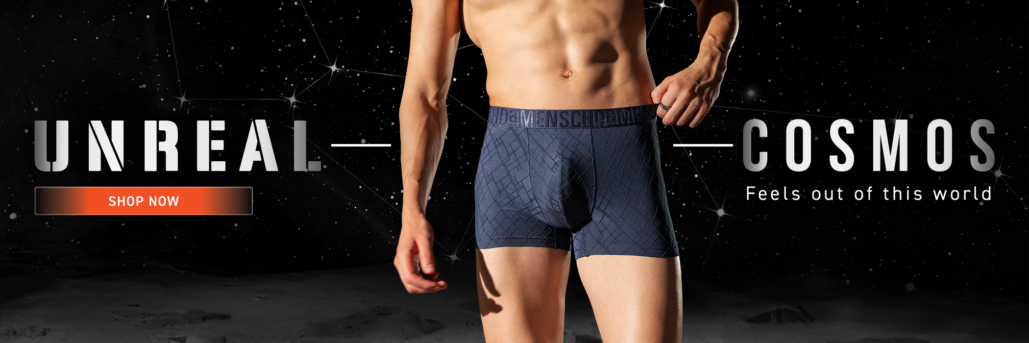 hp-12thdec-cosmos-trunks-d.png
