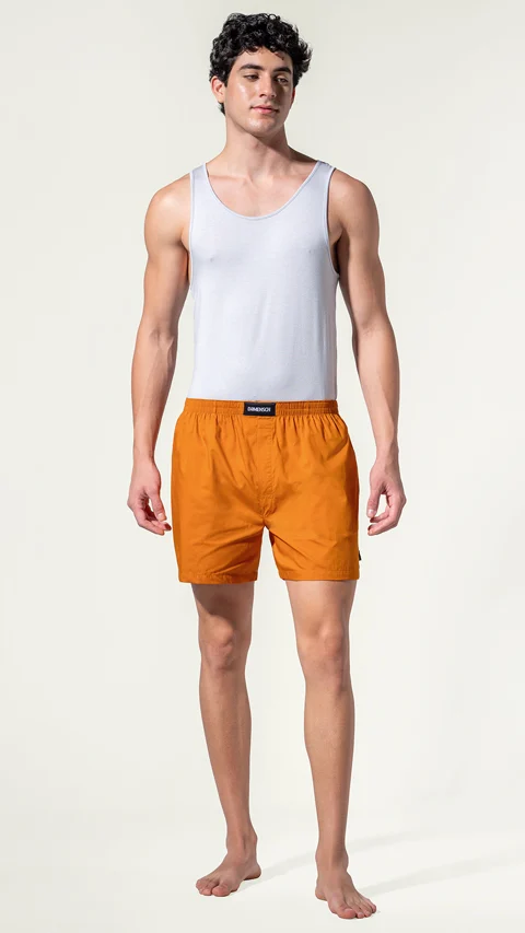 BREEEZE Ultra-light Boxer Shorts Goan Maple