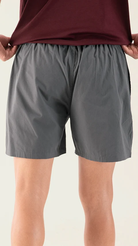 BREEEZE Ultra-light Boxer Shorts Las Grey