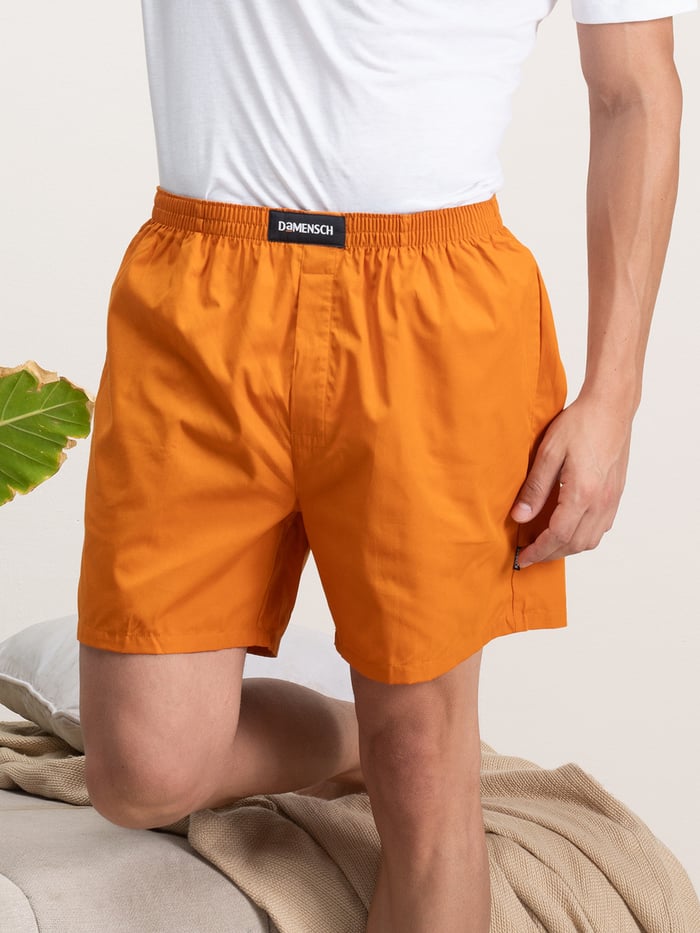 BREEEZE Ultra-light Boxer Shorts Goan Maple