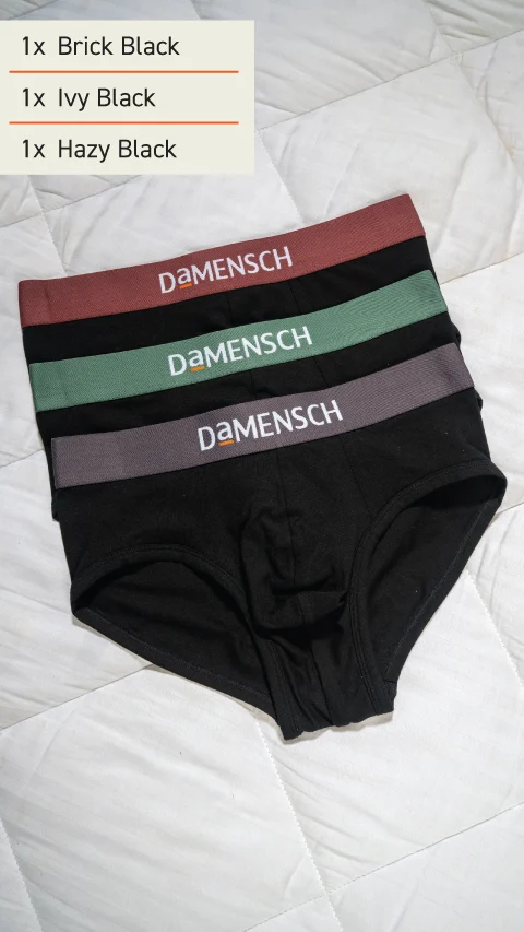 The Long Weekender Deo-Cotton Briefs Box-C (Set of 3)