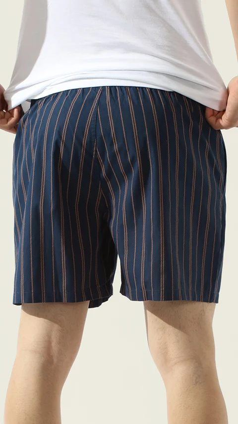BREEEZE Ultra-light Boxer Shorts Striped Blue