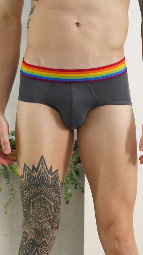 Deo-Soft Briefs Pride Grey