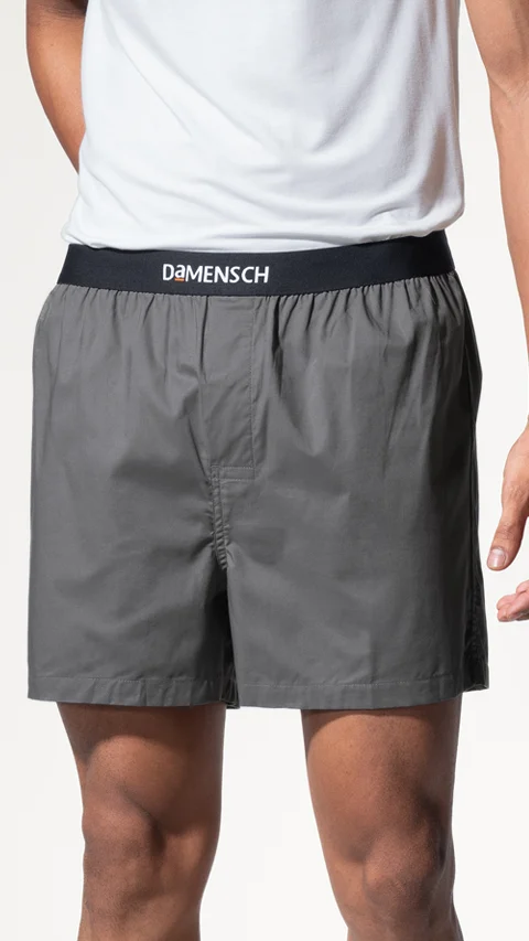 BREEEZE Ultra-light Inner Boxers Las Grey