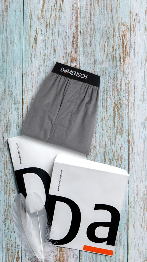 BREEEZE Ultra-light Inner Boxers Las Grey