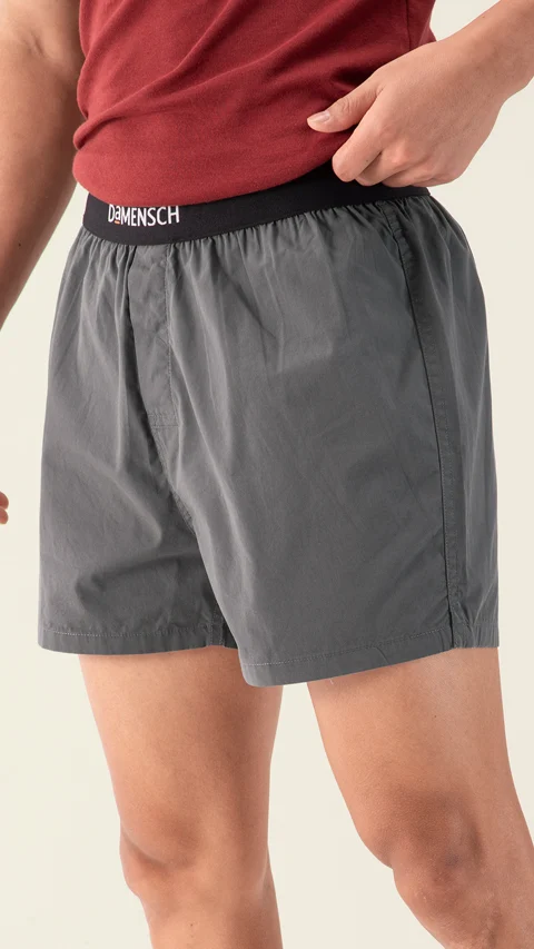 BREEEZE Ultra-light Inner Boxers Las Grey