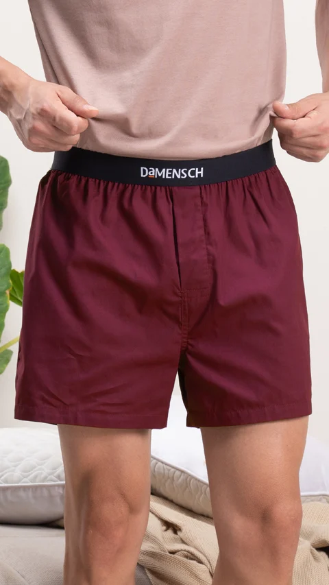 BREEEZE Ultra-light Inner Boxers Vintage Wine