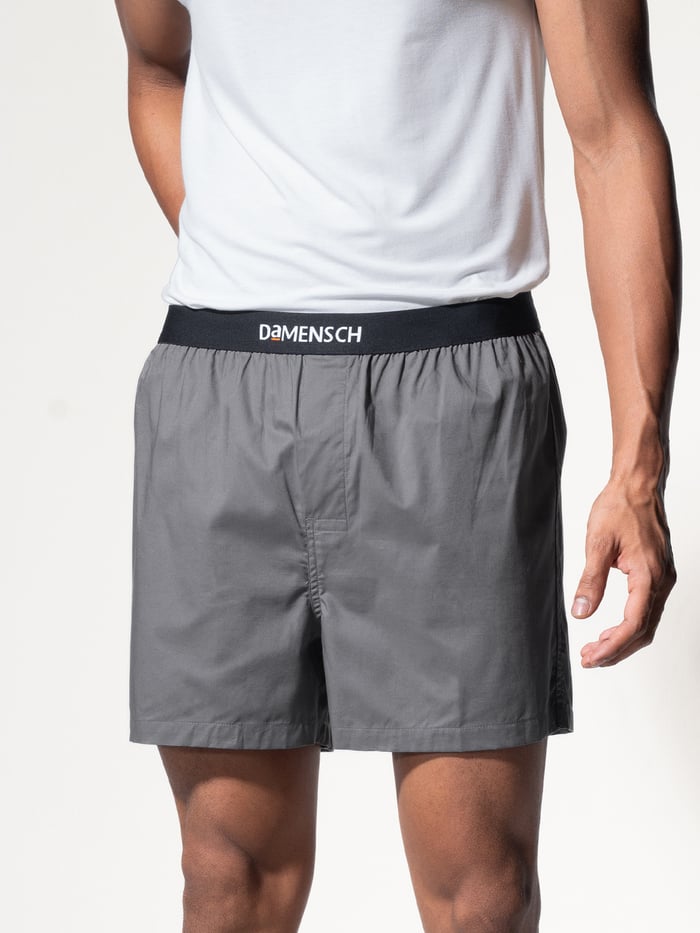 BREEEZE Ultra-light Inner Boxers Las Grey