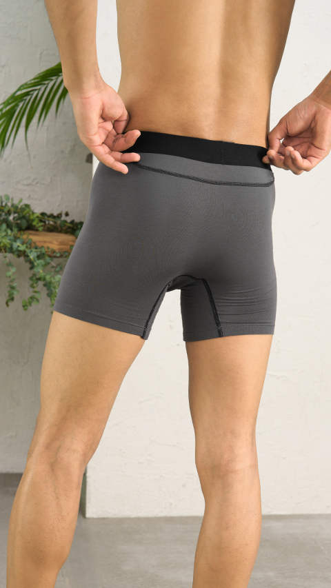 Buy Mens Wilsen Grey Boxer Brief Underwear | DaMENSCH