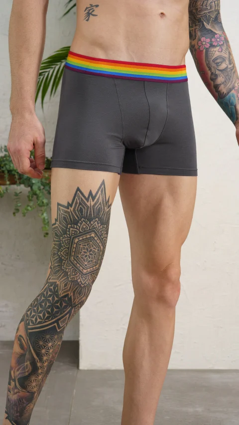 Deo-Soft Trunks Pride Grey