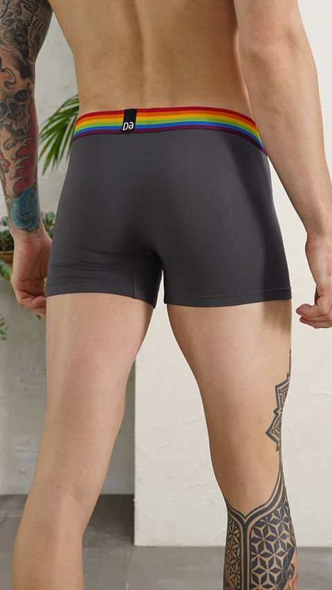Deo-Soft Trunks Pride Grey