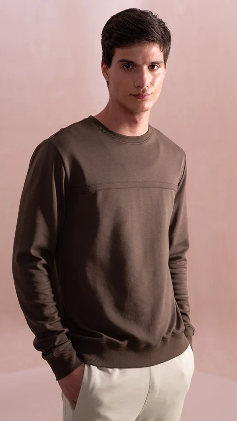 Statement Elemental Solid Sweatshirt Fudge Brown